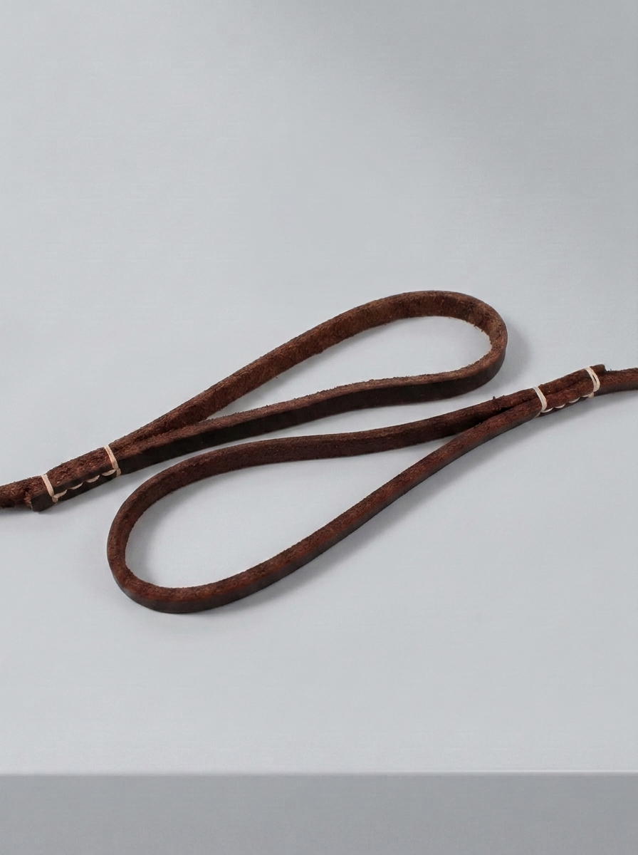Braune Premium Echtleder Hundeleine