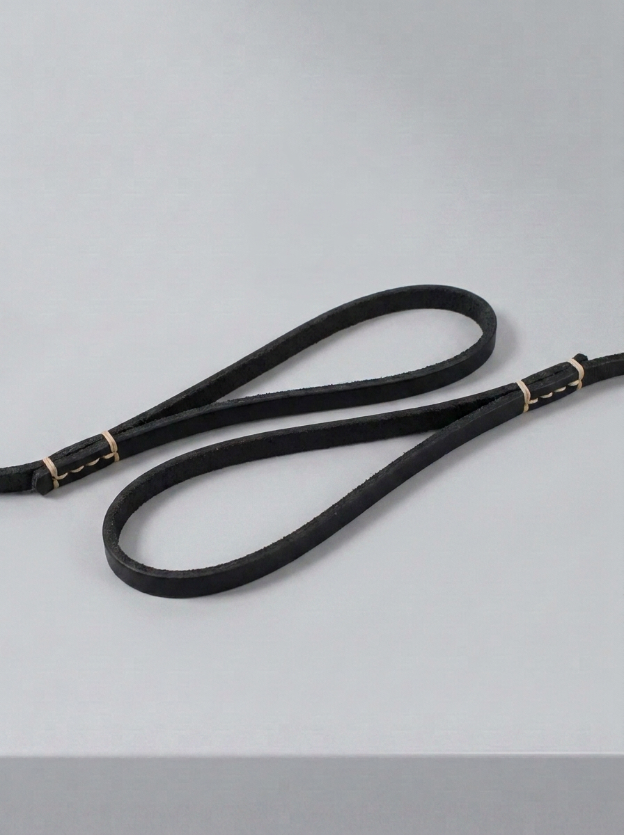 Schwarze Premium Echtleder Hundeleine