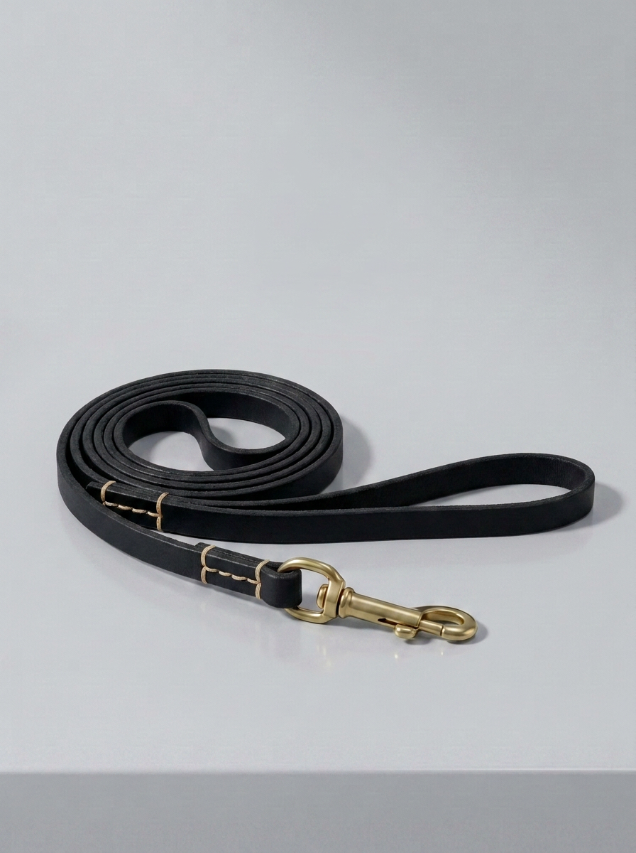 Schwarze Premium Echtleder Hundeleine